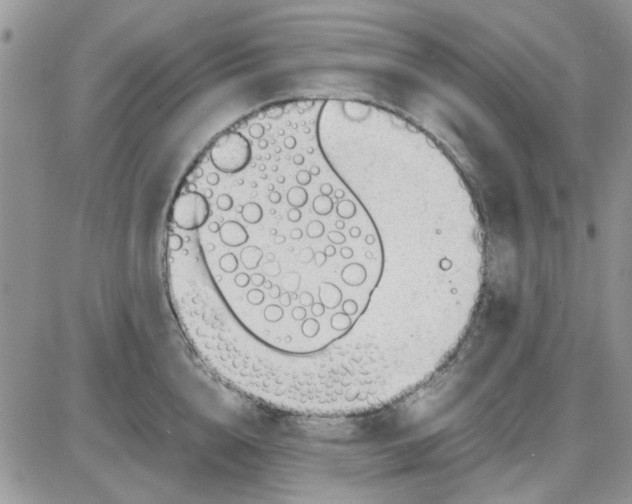 X0000086040856200704202009