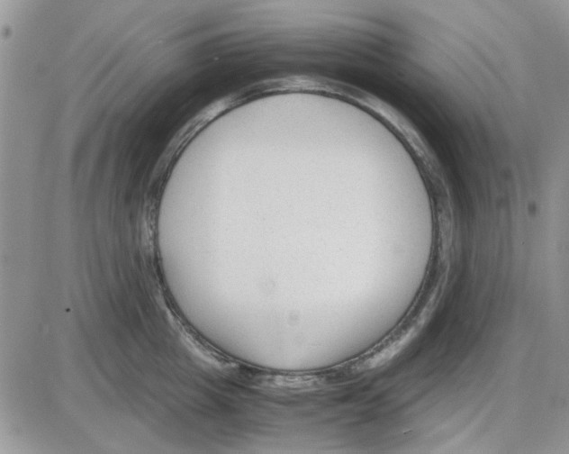 X0000086040857200704202009