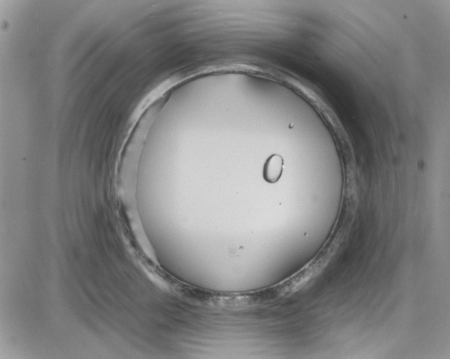 X0000086040858200704202009