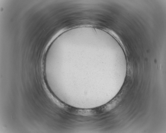 X0000086040859200704202009