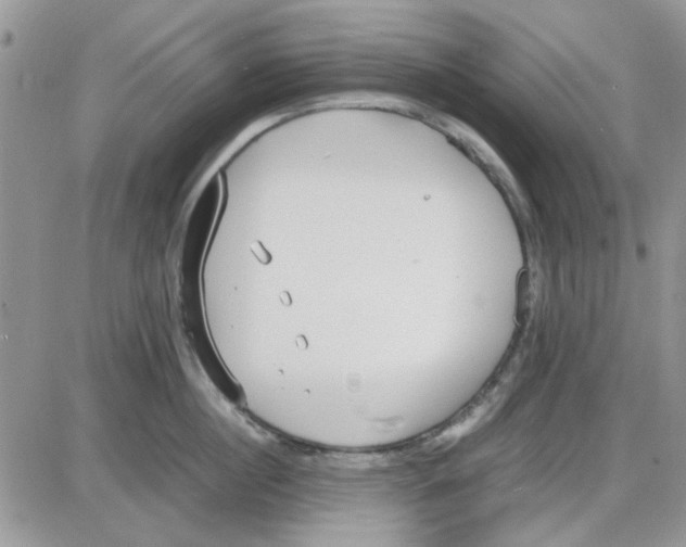 X0000086040860200704202009