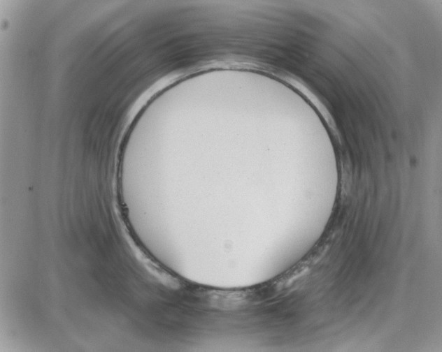 X0000086040861200704202009