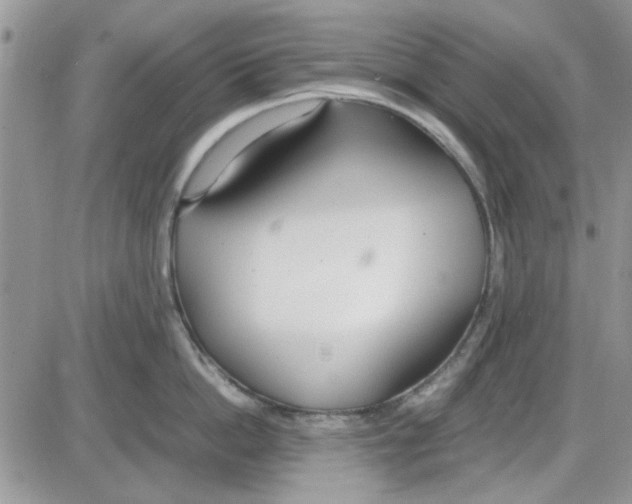 X0000086040862200704202009