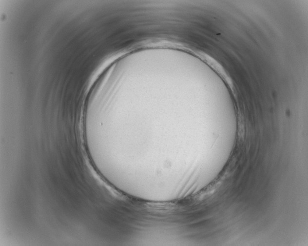 X0000086040863200704202009