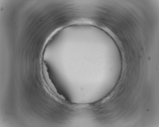 X0000086040864200704202009