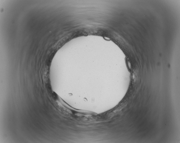 X0000086040867200704202008