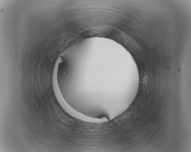 X0000086040868200704202008