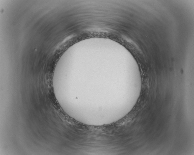 X0000086040870200704202008