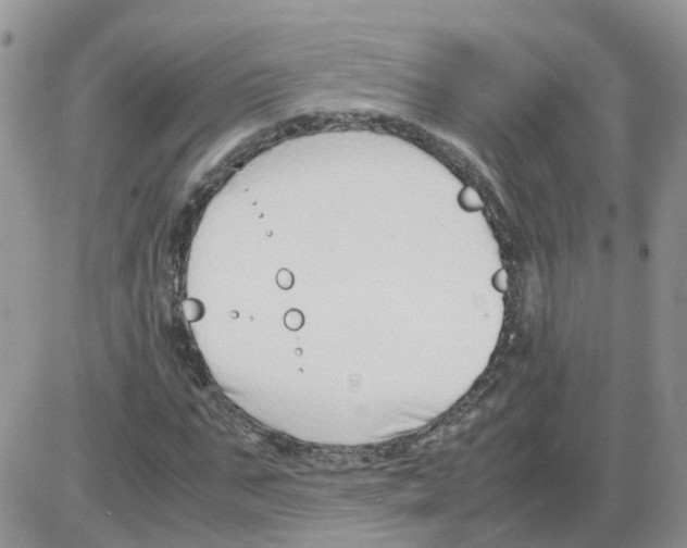 X0000086040871200704202008