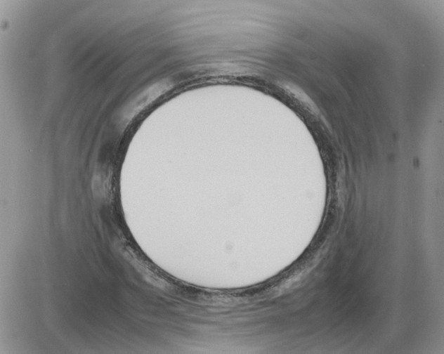 X0000086040873200704202008