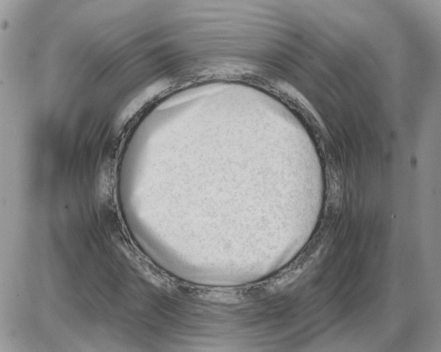 X0000086040874200704202008