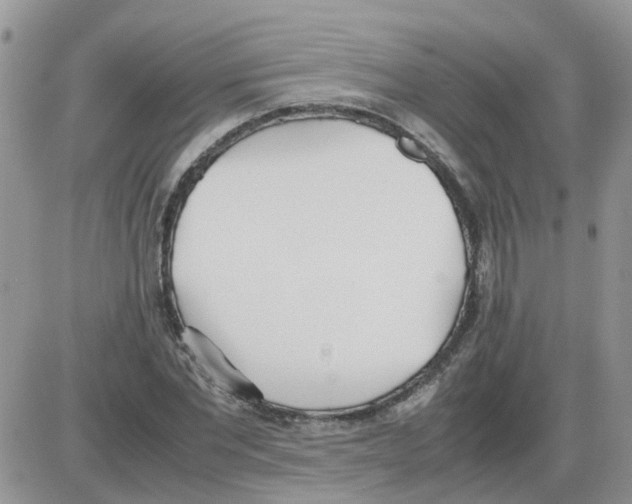 X0000086040877200704202008