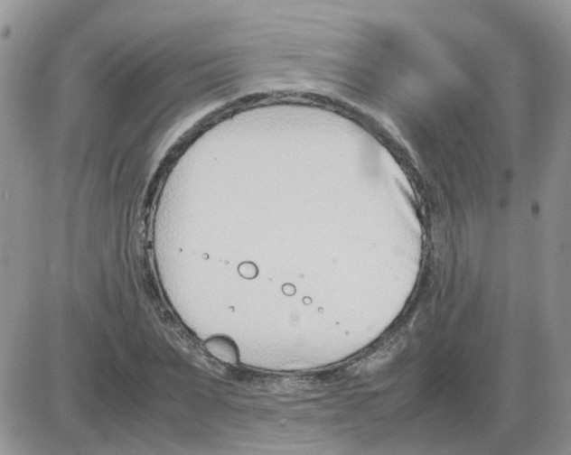 X0000086040879200704202008