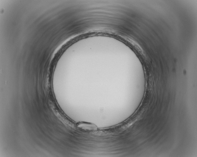 X0000086040880200704202008