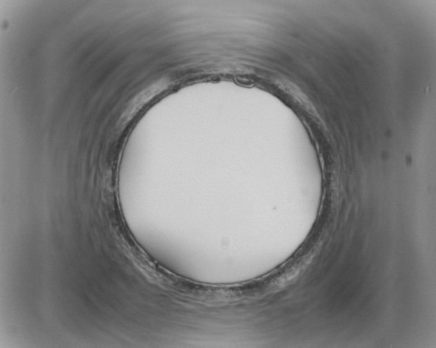 X0000086040881200704202008