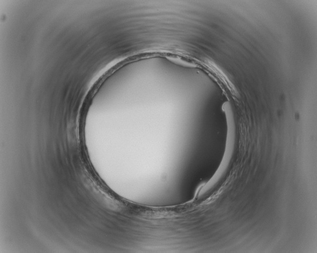 X0000086040884200704202008