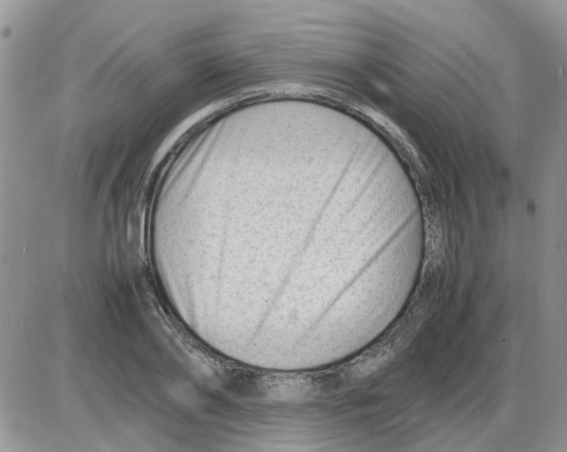 X0000086040886200704202008