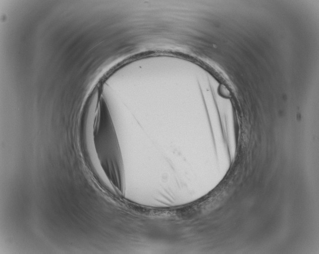 X0000086040887200704202008