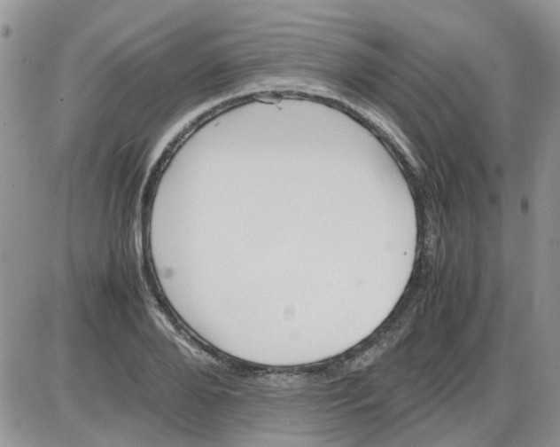 X0000086040888200704202008