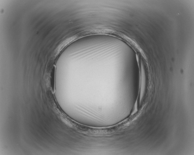 X0000086040889200704202008