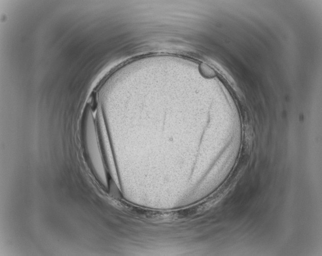 X0000086040891200704202008