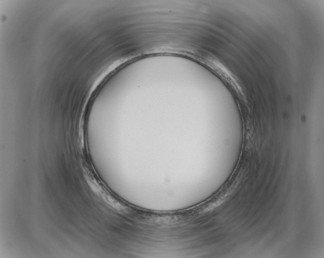 X0000086040892200704202008