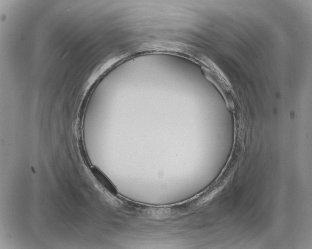 X0000086040893200704202008