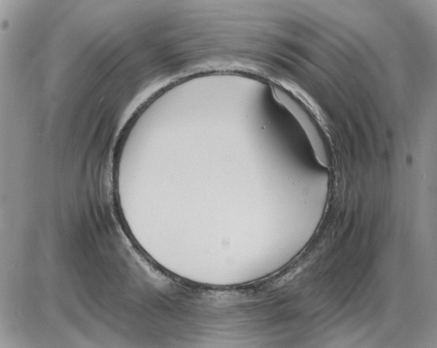 X0000086040894200704202008