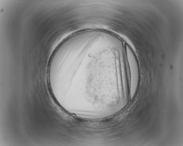 X0000086040895200704202008