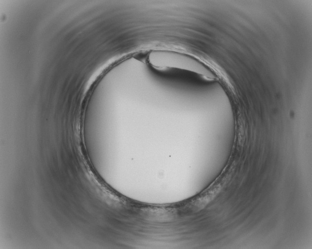 X0000086040896200704202008