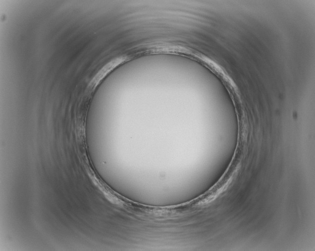 X0000086040897200704202008