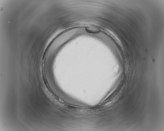 X0000086040899200704202008