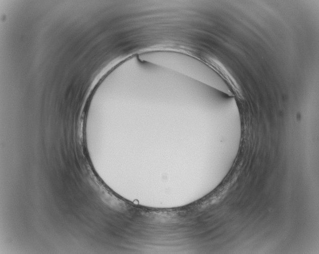 X0000086040900200704202008