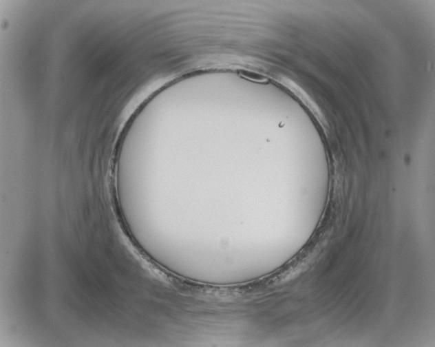 X0000086040901200704202008