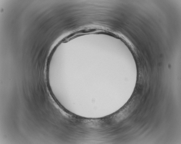 X0000086040902200704202008