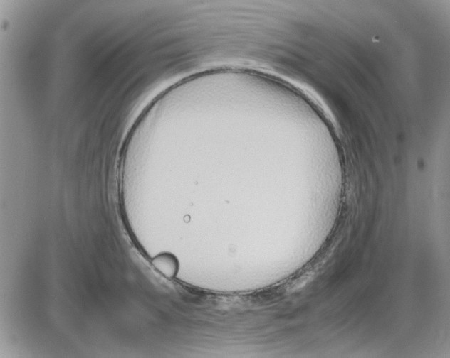 X0000086040903200704202008