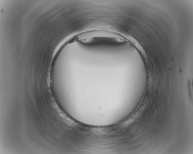 X0000086040904200704202008