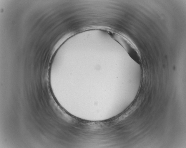 X0000086040906200704202008