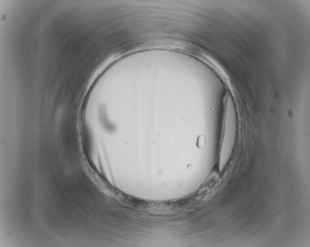 X0000086040907200704202008