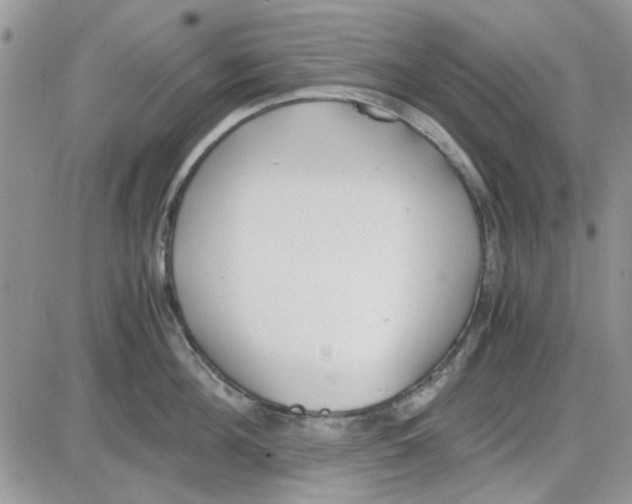 X0000086040908200704202008