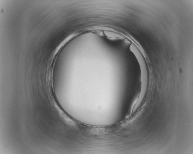 X0000086040909200704202008