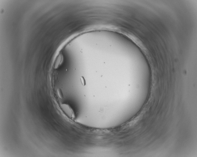 X0000086040912200704202008