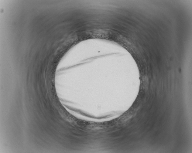 X0000086040913200704202007