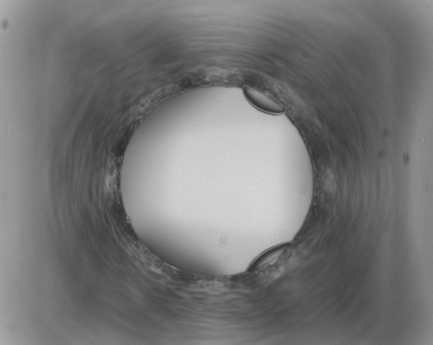 X0000086040914200704202007