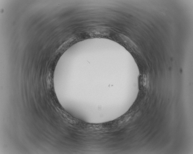 X0000086040915200704202007