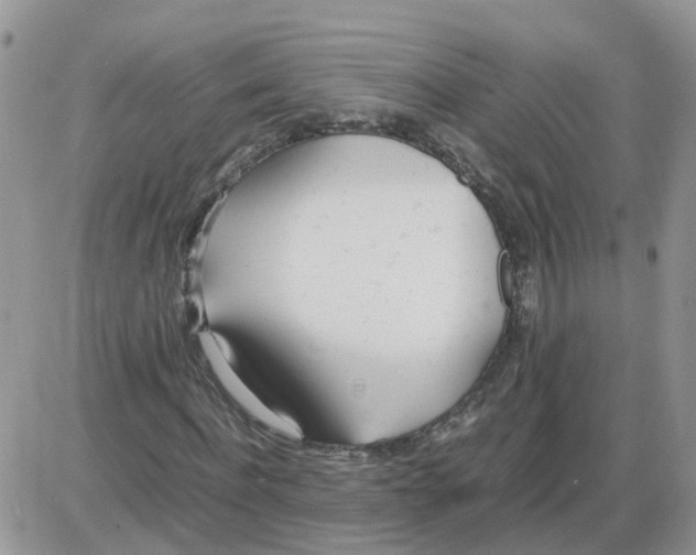 X0000086040916200704202007