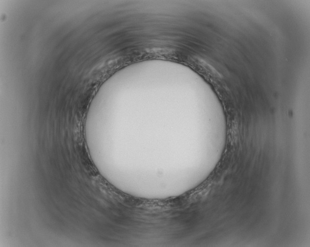 X0000086040917200704202007