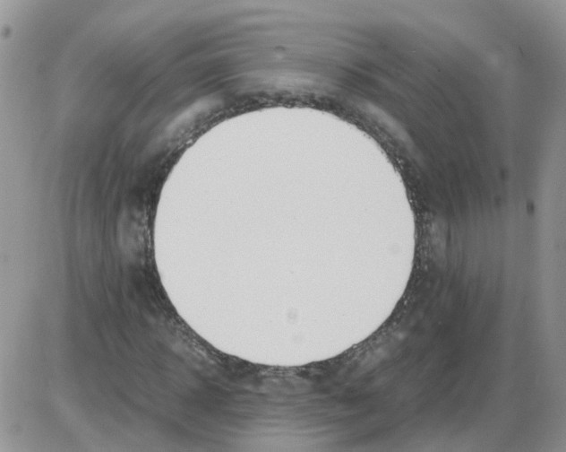 X0000086040918200704202007