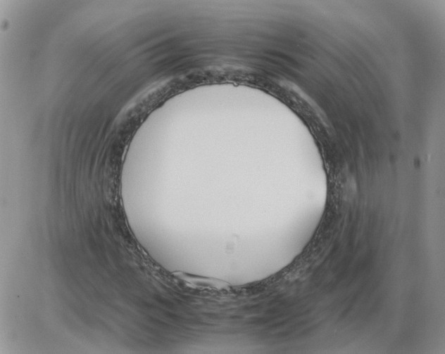 X0000086040919200704202007