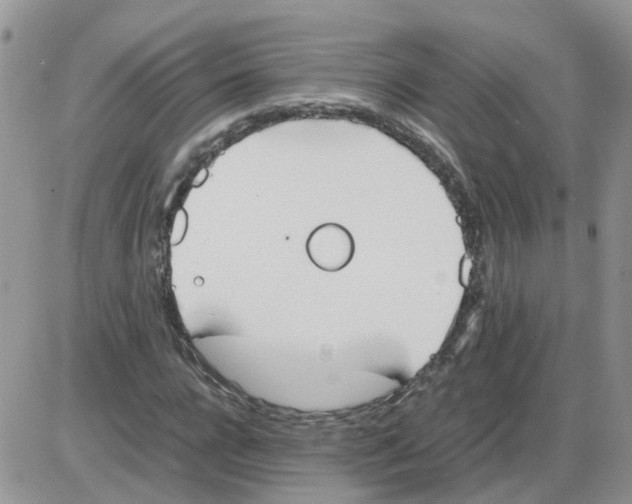 X0000086040920200704202007